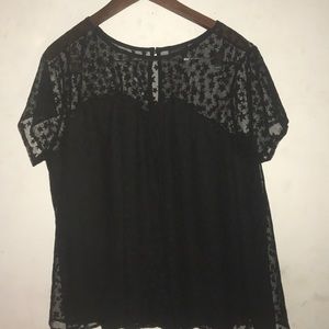 Torrid black transparent blouse